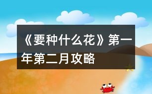 《要種什么花》第一年第二月攻略