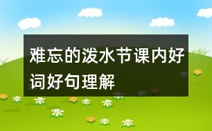 難忘的潑水節(jié)課內(nèi)好詞好句理解