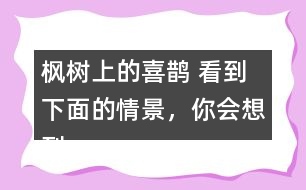 楓樹上的喜鵲 看到下面的情景，你會想到什么?試著寫下來。