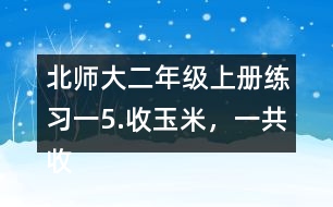 北師大二年級上冊練習(xí)一5.收玉米，一共收了多少根玉米。