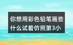 你想用彩色鉛筆畫些什么試著仿照第3小節(jié)