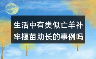 生活中有類似亡羊補(bǔ)牢揠苗助長的事例嗎說一說。