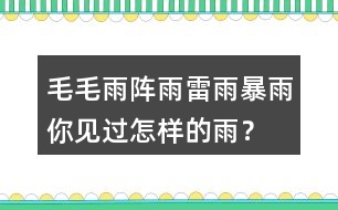 毛毛雨,陣雨,雷雨,暴雨你見過怎樣的雨？當時的情景？