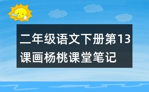 二年級(jí)語文下冊(cè)第13課畫楊桃課堂筆記