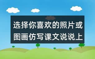 選擇你喜歡的照片或圖畫仿寫課文說(shuō)說(shuō)上面有什么？