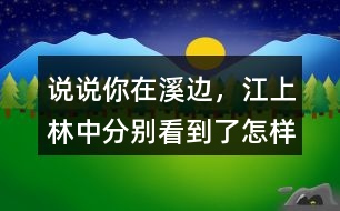 說說你在溪邊，江上、林中分別看到了怎樣的畫面。