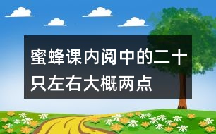 蜜蜂課內(nèi)閱中的二十只左右、大概、兩點四十分等詞中,你體會到了什么?