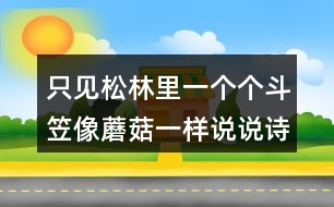 只見(jiàn)松林里一個(gè)個(gè)斗笠像蘑菇一樣說(shuō)說(shuō)詩(shī)句的意思