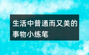 生活中普通而又美的事物小練筆