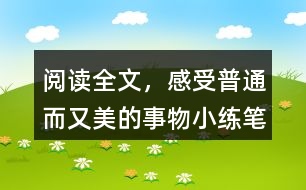 閱讀全文，感受普通而又美的事物小練筆