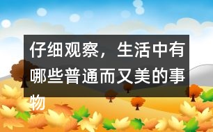 仔細觀察，生活中有哪些普通而又美的事物小練筆三年級