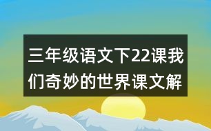 三年級(jí)語(yǔ)文下22課我們奇妙的世界課文解析詳細(xì)筆記