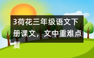 3荷花三年級語文下冊課文，文中重難點復習筆記歸納