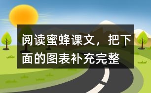 閱讀蜜蜂課文，把下面的圖表補(bǔ)充完整