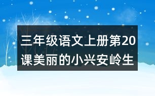 三年級(jí)語文上冊(cè)第20課美麗的小興安嶺生字組詞與多音字組詞