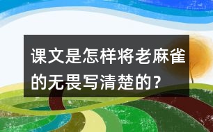 課文是怎樣將老麻雀的無(wú)畏寫(xiě)清楚的？