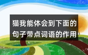 貓我能體會到下面的句子帶點詞語的作用，還能用這些詞語說句子呢。