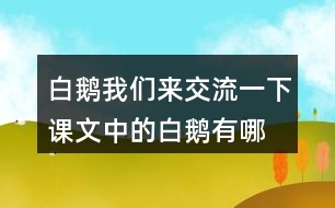 白鵝我們來交流一下,課文中的白鵝有哪些特點，作者是怎樣具體描寫這些特點的。