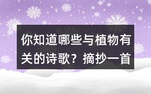 你知道哪些與植物有關(guān)的詩歌？摘抄一首