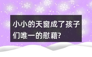 小小的天窗成了孩子們“唯一的慰藉”?找出相關語句和同學交流。