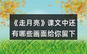 《走月亮》課文中還有哪些畫面給你留下了深刻的印象？和同學(xué)交流。