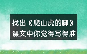 找出《爬山虎的腳》課文中你覺得寫得準(zhǔn)確、形象的句子，抄寫下來。