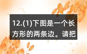 12.(1)下圖是一個長方形的兩條邊。請把這個長方形畫完整。