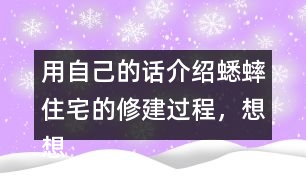 用自己的話介紹蟋蟀住宅的修建過程，想想為什么蟋蟀的住宅可以算是“偉大的工程”。