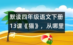 默讀四年級(jí)語(yǔ)文下冊(cè)13課《貓》，從哪里可以看出作者喜歡貓