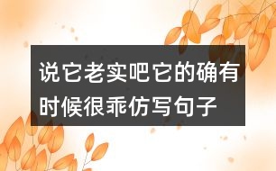 說它老實吧它的確有時候很乖仿寫句子