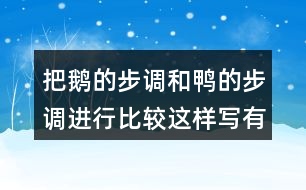 把鵝的步調(diào)和鴨的步調(diào)進(jìn)行比較這樣寫有什么好處