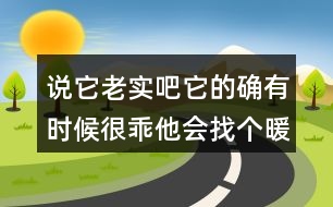 說它老實(shí)吧它的確有時候很乖他會找個暖和的地方仿寫