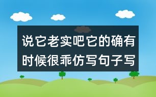 說它老實(shí)吧它的確有時候很乖仿寫句子寫人物