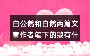 白公鵝和白鵝兩篇文章作者筆下的鵝有什么共同點表達(dá)上的相似之處是什么