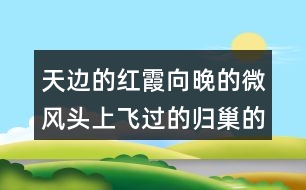 天邊的紅霞向晚的微風(fēng)頭上飛過的歸巢的鳥兒