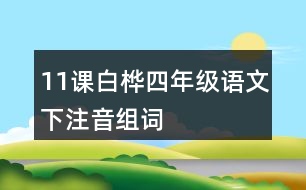 11課白樺四年級(jí)語(yǔ)文下注音組詞