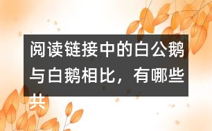 閱讀鏈接中的白公鵝與白鵝相比，有哪些共同點？