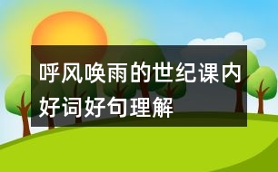 呼風喚雨的世紀課內(nèi)好詞好句理解