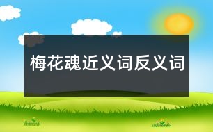 梅花魂近義詞反義詞