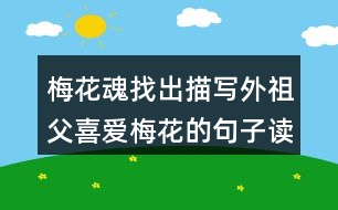 梅花魂找出描寫(xiě)外祖父喜愛(ài)梅花的句子讀一讀，體會(huì)這些句子對(duì)表達(dá)外祖父的思鄉(xiāng)之情有什么好處。