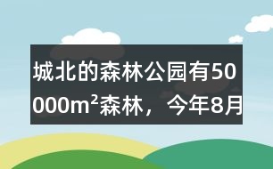 城北的森林公園有50000m2森林，今年8月份這片森林一共吸收了多少二氧化碳?