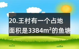 20.王村有一個占地面積是3384m2的魚塘(如下圖)。