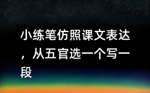 小練筆：仿照課文表達，從五官選一個寫一段話