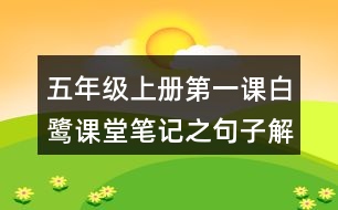 五年級(jí)上冊第一課白鷺課堂筆記之句子解析