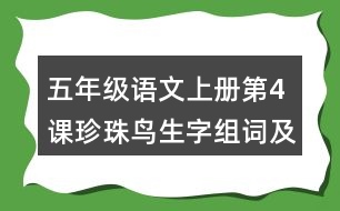 五年級語文上冊第4課珍珠鳥生字組詞及拼音