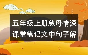 五年級上冊慈母情深課堂筆記文中句子解析