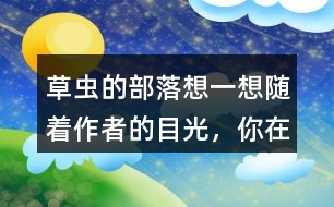 草蟲的部落想一想隨著作者的目光，你在“曹操的部落”看到了什么，印象最深的有哪些？