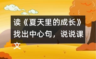 讀《夏天里的成長(zhǎng)》找出中心句，說(shuō)說(shuō)課文是怎樣圍繞這句話來(lái)寫的。