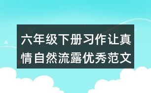 六年級下冊習作：讓真情自然流露優(yōu)秀范文500兩篇