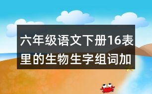 六年級語文下冊16表里的生物生字組詞加拼音